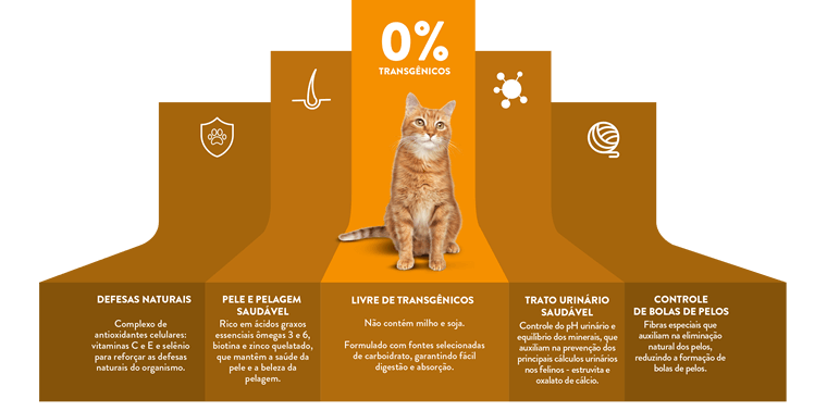 Quatree Life Gatos Castrados