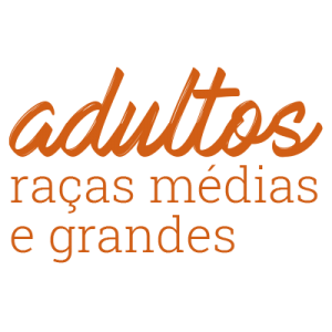 Quatree Gourmet Adultos Raças Médias e Grandes