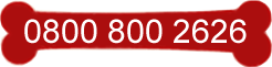 0800 0800 26 26